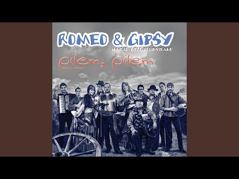 Pe ulita armeneasca (feat. Nelu Ploiesteanu)