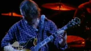 Widespread Panic Barstools built for dreamers