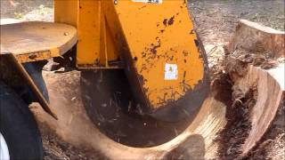 preview picture of video 'James A Roman Tree Service: Stump Removal / Grinding'