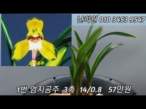 유튜브 썸네일