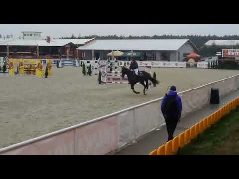 Liryka (Kannan x Livello) 2019/09/07 II półfinał SCMK Olsza - 115cm I SPRZEDANA / SOLD