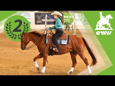 Linda Leckebusch-Stark | Finale Senior Superhorse | EWU German Open 2017