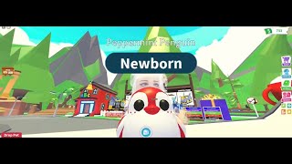 Como ganhar dinheiro no ADOPT ME (ROBLOX) | How to make money in ADOPT ME (ROBLOX)