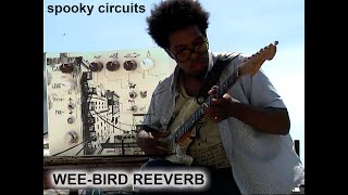 Video thumbnail for SPOOKY CIRCUITS ~ WEE-BIRD REEVERB (ft. Smith Taylor) by spooky circuits ~ policomb
