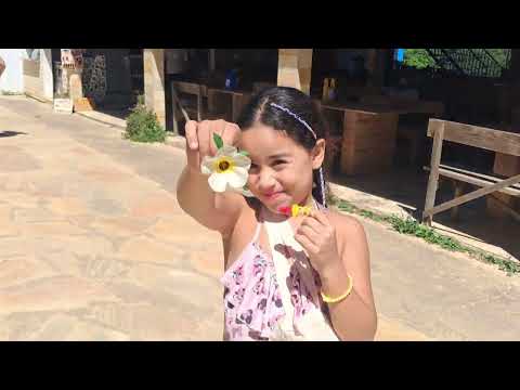 O Vale das Borboletas é um dos destinos naturais mais visitados em São Thomé das Letras