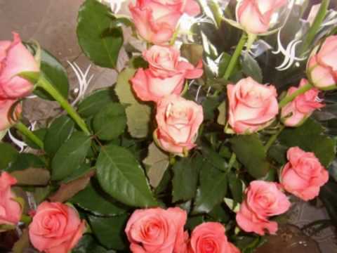 Stela Enache & Florin Bogardo - Trandafirii un simbol al iubirii.