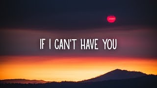 Shawn Mendes - If I Can&#39;t Have You (Lyrics)