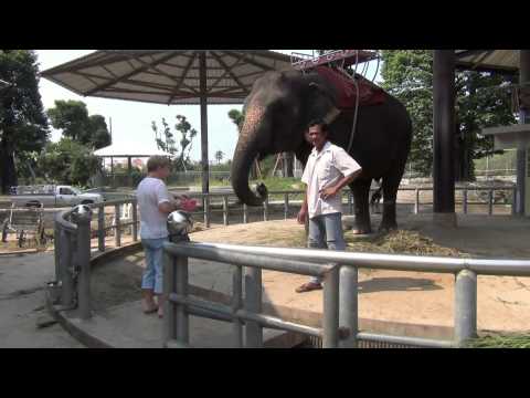 Крокодиловая ферма (часть 1)