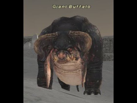 GIANT BUFFALO Scene   Kong  Skull Island 2017 Movie Clip HD  360 X 640