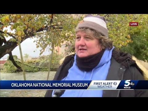 Kari Watkins discusses damage to Survivor Tree