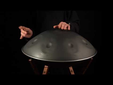 SEW Handpan D Kurd Professional (SAVITA MUSIC)