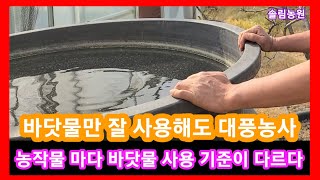 농작물별 바닷물 사용 안전 희석비율 농진청자료 ~해수농법 고추에는 바닷물을 얼마나 사용해야 귀농귀촌,전원일기…
