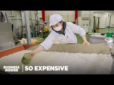 We Spent a Day With Japan’s Youngest Female Sake Brewmaster | So Expensive Food | Insider Business