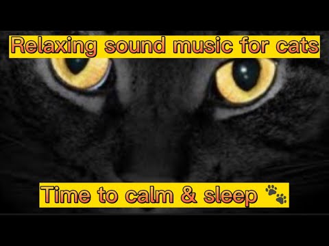 Music for cats 🐾 Musica para gatos 🐾 Time to calm & sleep