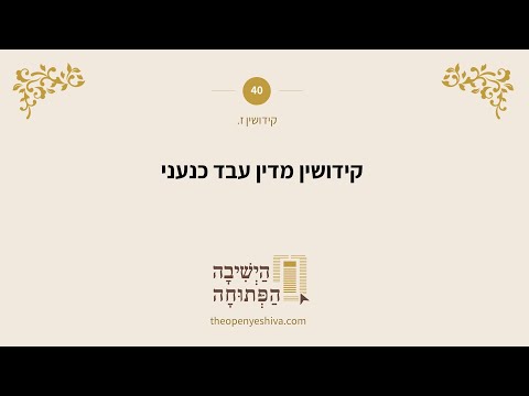 תמונה מקדימה לסרטון