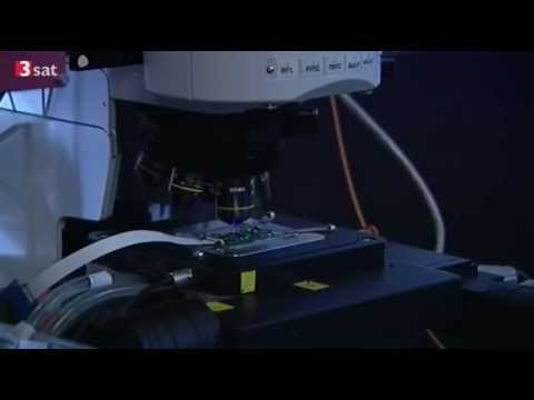 BIONIK - DIE GEHEIMEN BAUPLÄNE DER NATUR