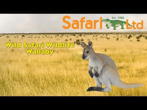 Safari LTD Wild Safari Wildlife Wallaby