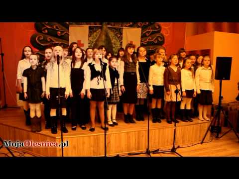 26.11.2010 Oleśnica - Akademia Honorowych Dawców Krwi (PCK)