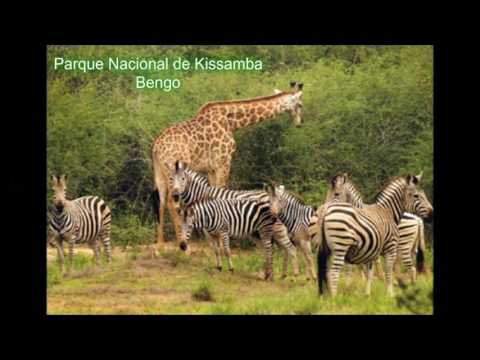 Angola, a minha terra.