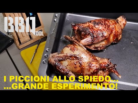 Ho fatto i piccioni allo spiedo. Che magnifico esperimento!