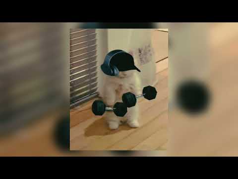 FoxTune - YOU CAN'T BREAK ME DOWN (Official Audio)