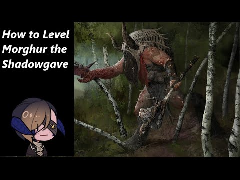 How to Level - Morghur the Shadowgave