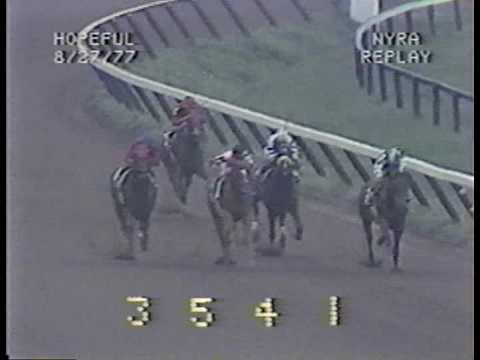 Affirmed vs. Alydar - 1977 Hopeful Stakes (3rd Meeting)