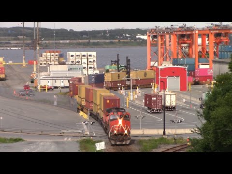Nice View of CN Local Train 519 Working at PSA Container Terminal - Halifax, NS