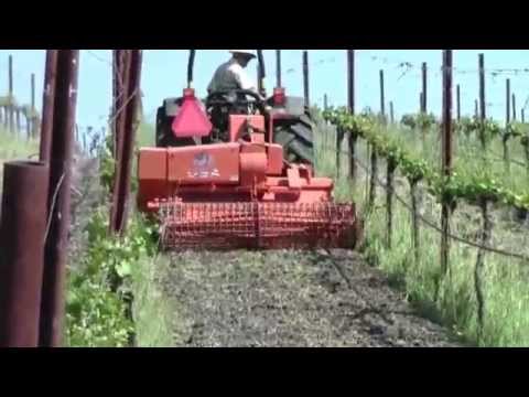 Vineyard Tiller