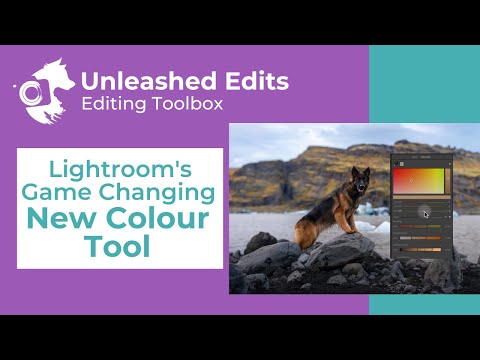 Lightroom's Game Changing New Colour Tool - Dog Photography Editing