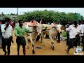 First Prize Winners At Mudivarthi Senior Category Ox Race