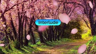 Download lagu 38082   Minta Kawin   Dadido mp3