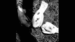 Andy Stott - No Surrender ( Fan Vid. )