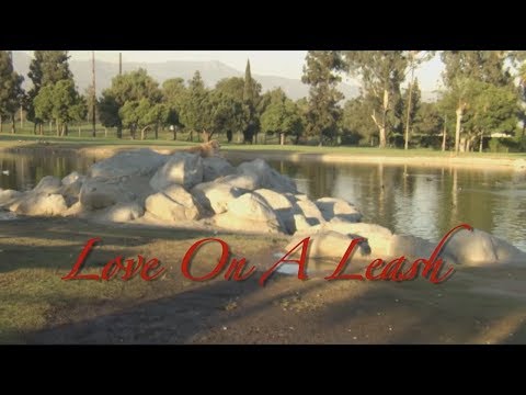 Love On A Leash OP (Real)