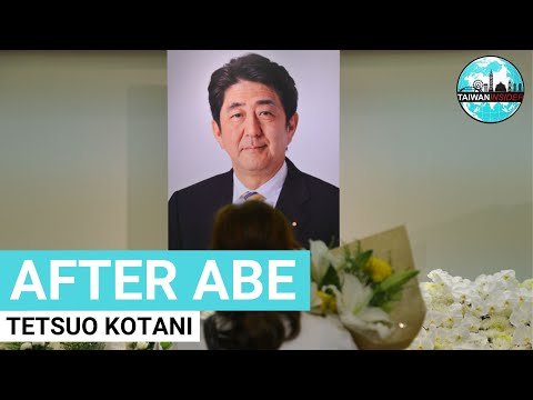 What Next for Japan-Taiwan Ties? | Interview, July 14, 2022 | Taiwan Insider on RTI