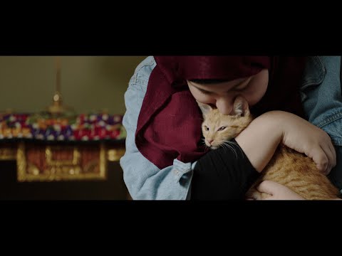 This Is Us | Episode 4: Shaymaa | RNZ