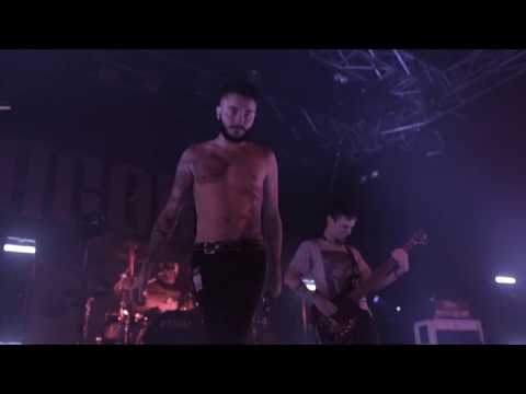 ZONURE - PASSENGER [LIVE FROM THE CROWD]