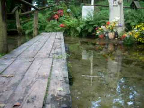 Źródlisko we wsi Siedliska na Roztoczu