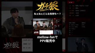 ハイブリから贈る言葉、ションへ