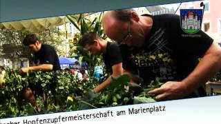 preview picture of video 'Bürgerfest 2012.wmv'