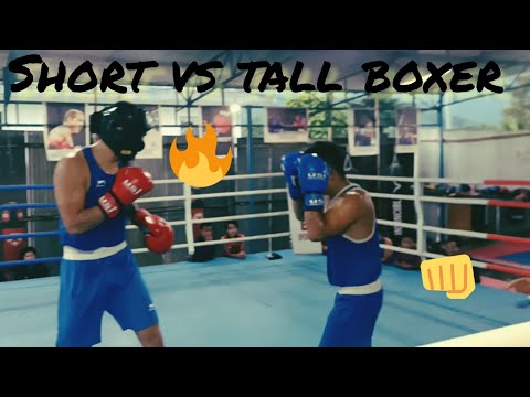 Short vs tall boxer.