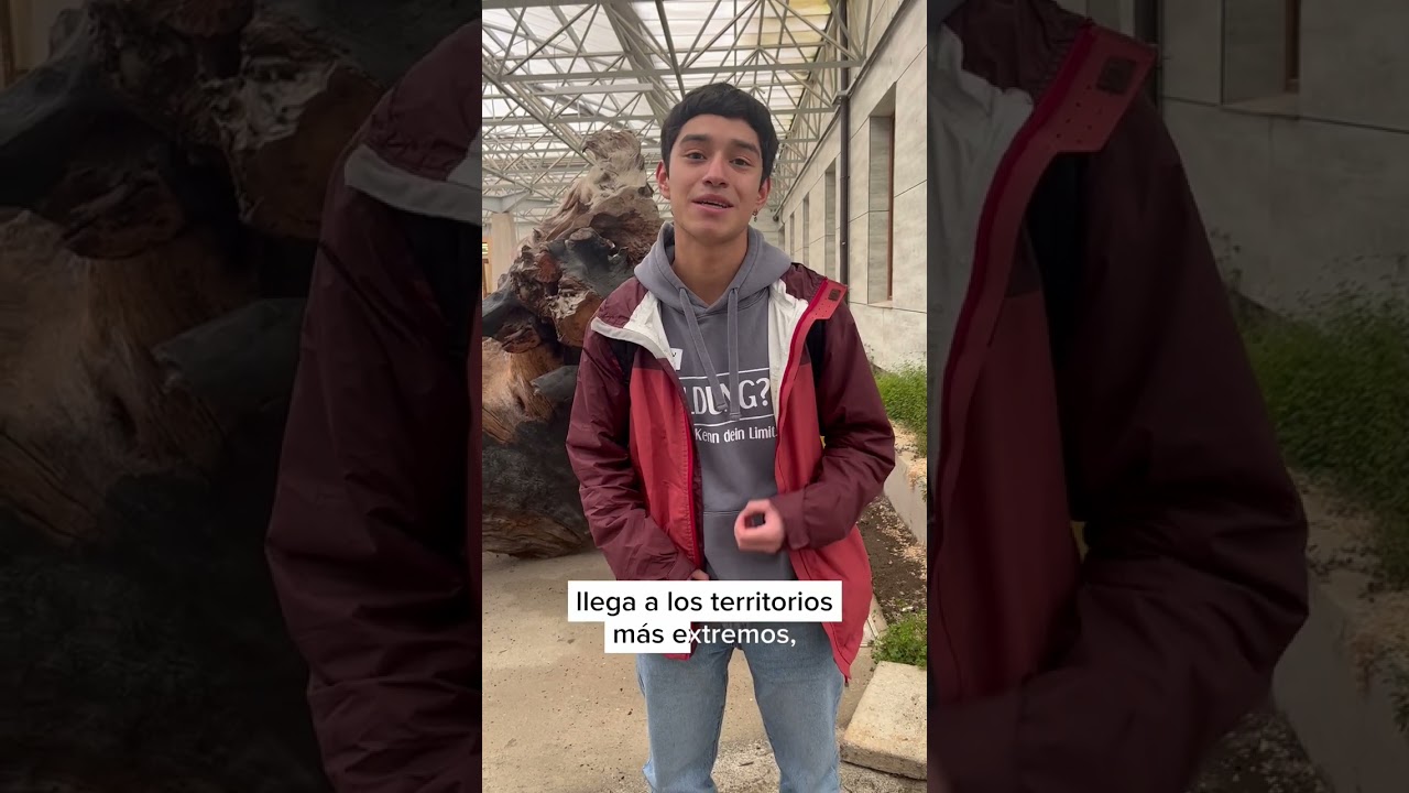 Benjamín Almonacid - Joven de Calbuco