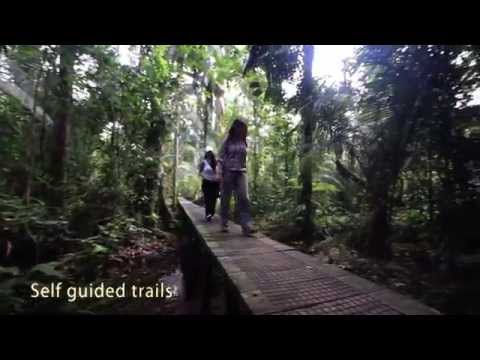 La Selva Amazon Ecolodge & Spa - Ecuadorian Amazon