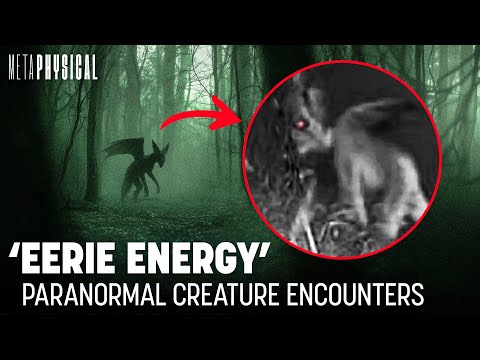 Paranormal Encounters in the Pine Barrens