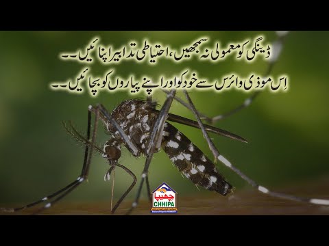 Safety Measures From Dengue | Message from Khadim-e-Insaniyat Muhammad Ramzan Chhipa