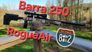 Barra 250z 22 caliber (RogueAir Edtion)