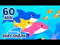 Baby Shark Doo Doo Doo 60 Min Compilation Baby Shark Remix Baby Shark Official