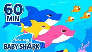 Baby Shark Doo Doo Doo 60 Min  +Compilation  Baby 