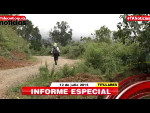 Titulares de Teleantioquia Noticias - domingo 12 de julio de 2015