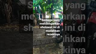 Download lagu sholawat pagi di hari senin mp3 Download lagu sholawat pagi di hari senin mp3